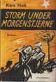 Omslagsbilde:Storm under morgenstjerne : roman