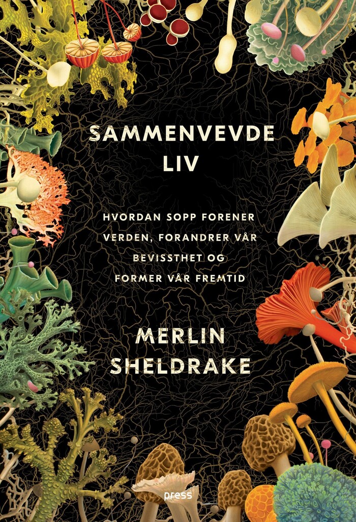 Forsidebilde