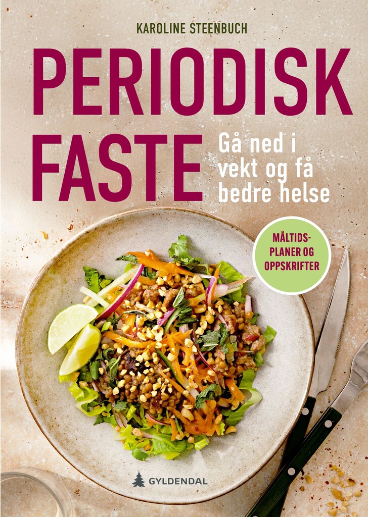 Forsidebilde