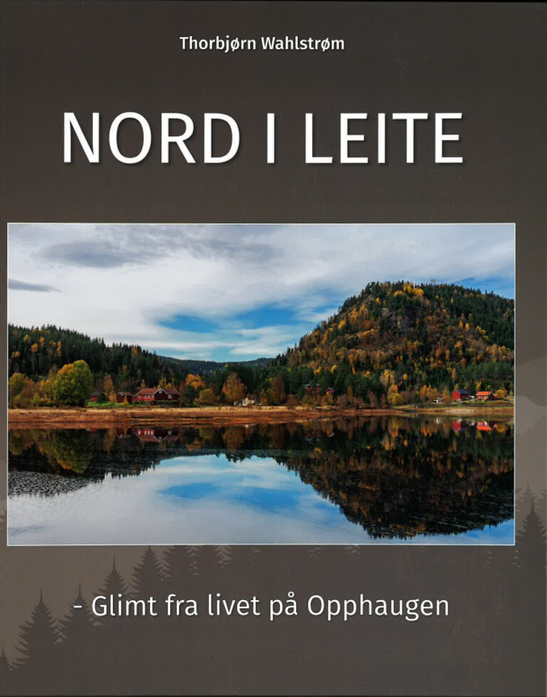 Forsidebilde