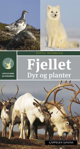 forsidebilde - trykk for å vise stor versjon