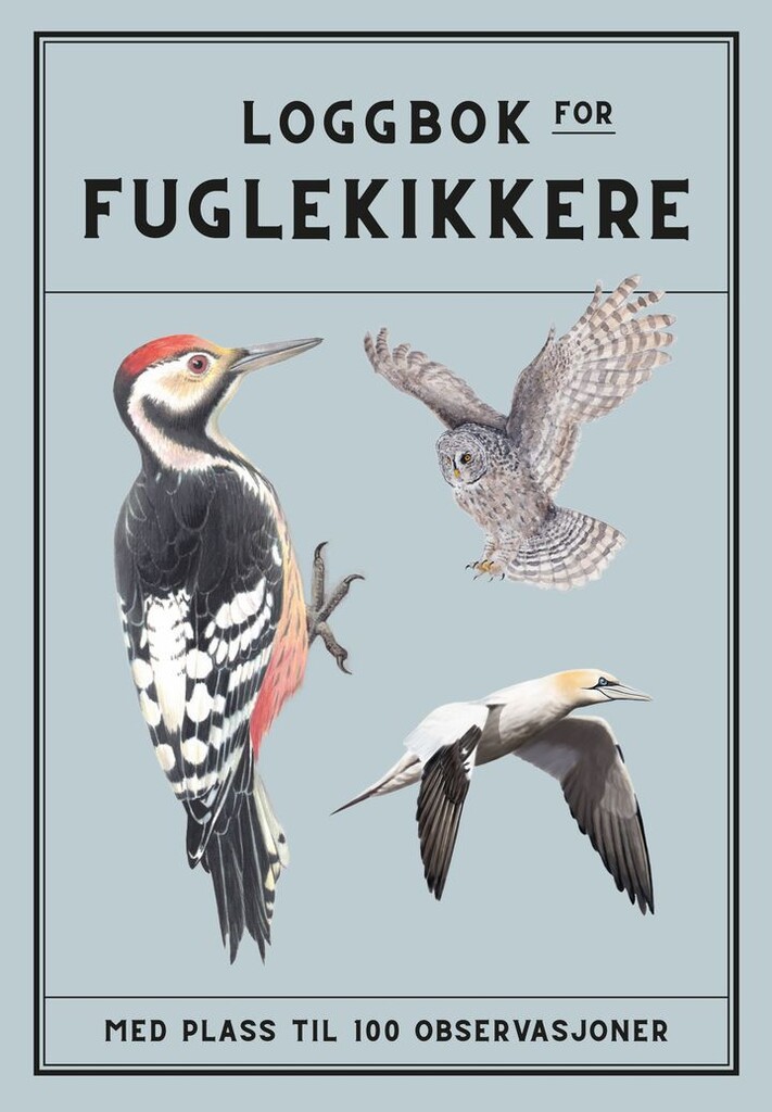 Forsidebilde