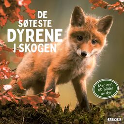 forsidebilde - trykk for å vise stor versjon