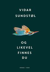 Omslagsbilde