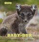 Omslagsbilde:Baby-dyr