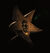 Omslagsbilde:Motorpsycho