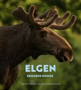Omslagsbilde