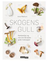 Mæhlum, Anne : Skogens gull