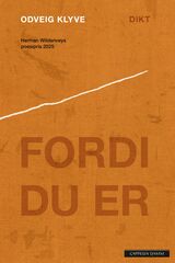 Forsidebilde