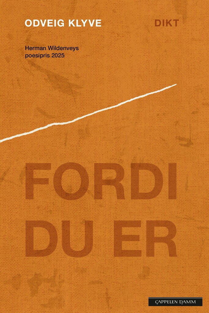 Forsidebilde