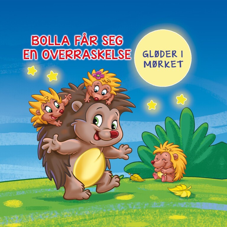 Forsidebilde
