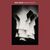 Omslagsbilde:Dancing headlights