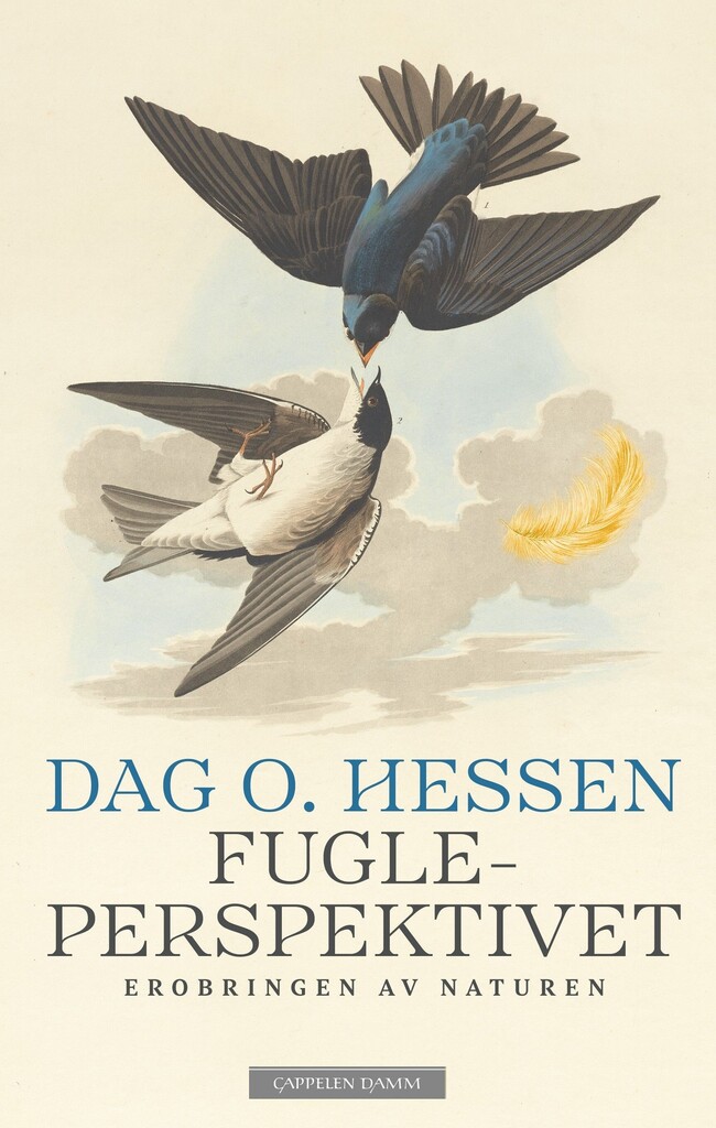 Forsidebilde