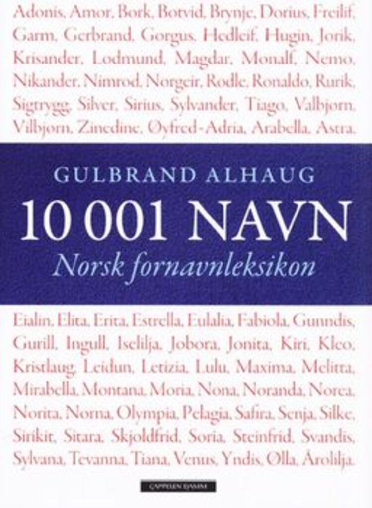 Forsidebilde