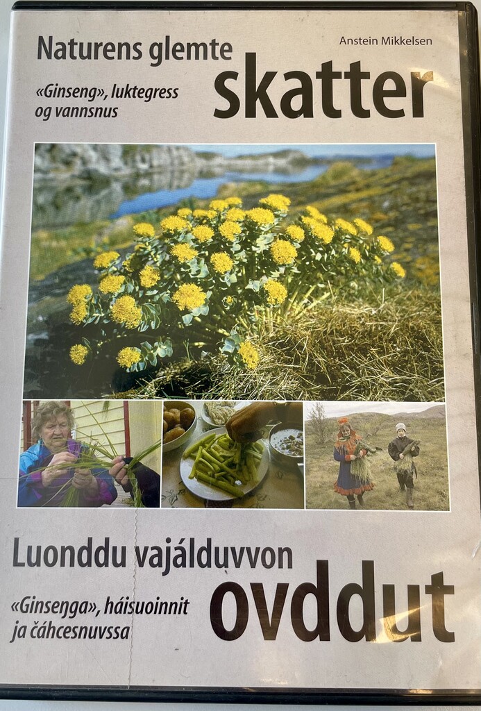 Forsidebilde