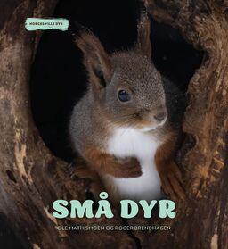 forsidebilde - trykk for å vise stor versjon