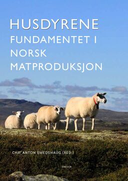 forsidebilde - trykk for å vise stor versjon