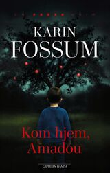 Omslagsbilde