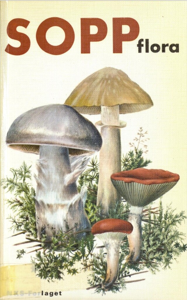 Forsidebilde