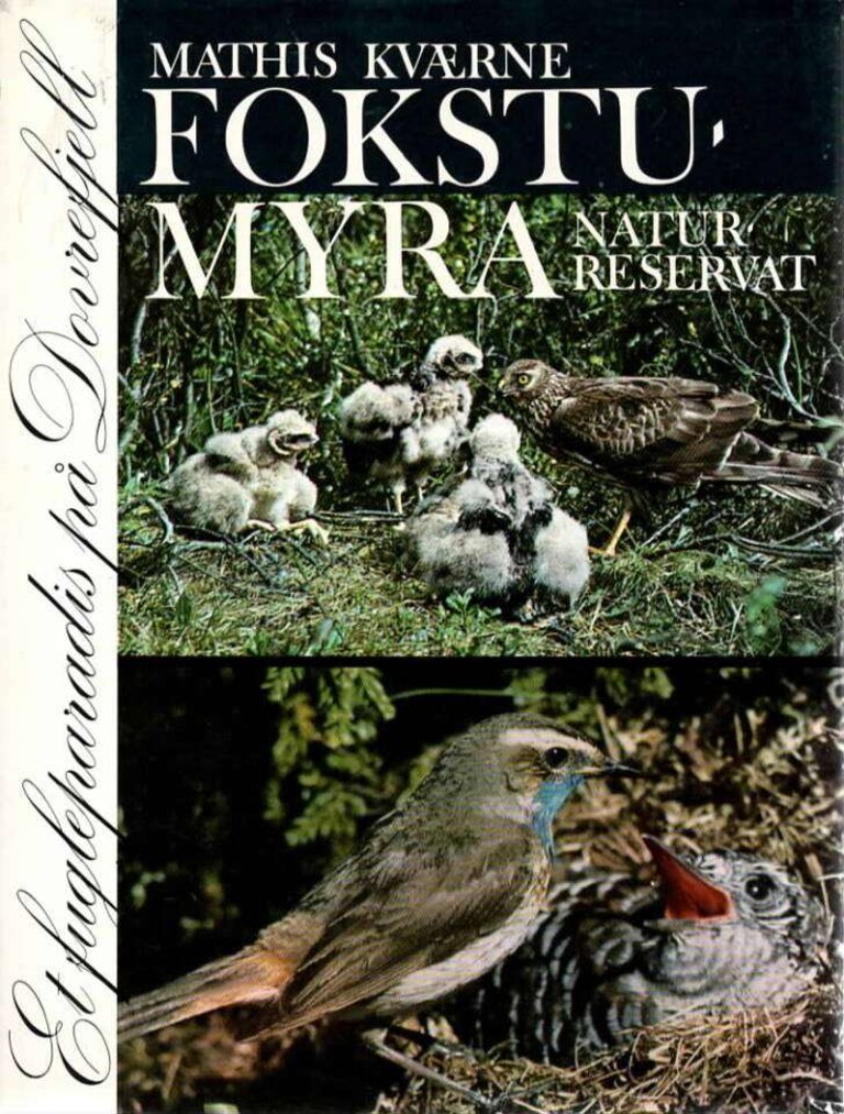 Forsidebilde