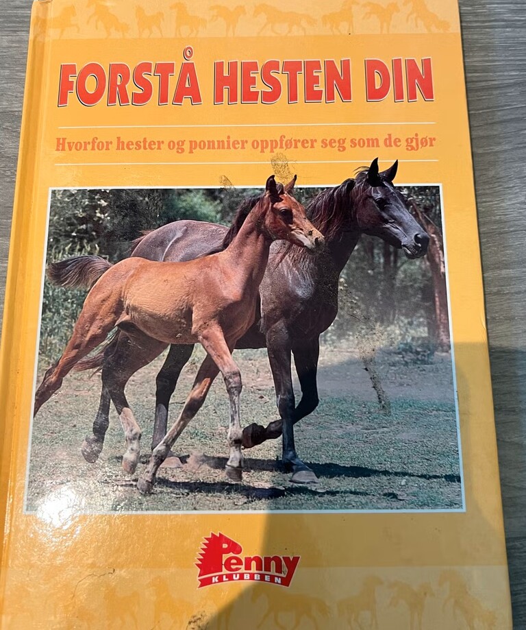 Forsidebilde