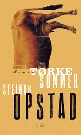 Opstad, Steinar : Tørkesommer : roman