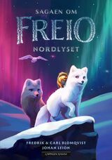 Blomqvist, Fredrik : Nordlyset