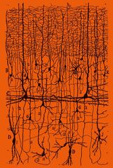 Orvedal, Ivar : Parapoetica