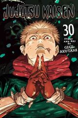 Akutami, Gege : Jujutsu Kaisen. 30. from now on